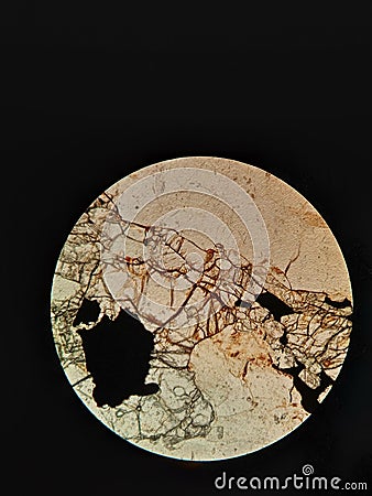 Photomicrograph of a khondalite rock under plane polarized light. Stock Photo