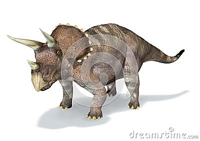 Photorealistic 3 D rendering of a Triceratops. Stock Photo
