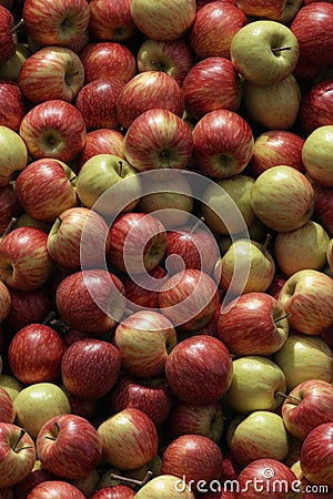 Photorealistic Detailed Seamless Patterns of Apples Stock Photo