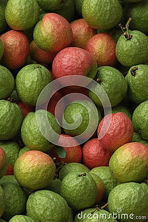 Photorealistic Detailed Seamless Patterns of Guava Stock Photo