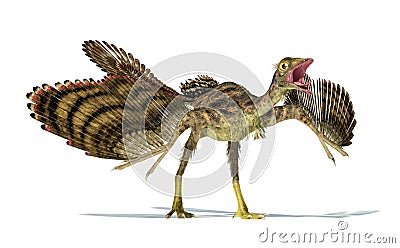 Photorealistic representation of an Archaeopteryx dinosaur. Stock Photo