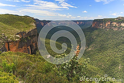 Before and after images of the bushfires damage in the Blue Mountains, Australia Stock Photo