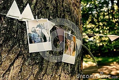 Photos of couple and ribbons hanging on tree, handmade adorning Stock Photo