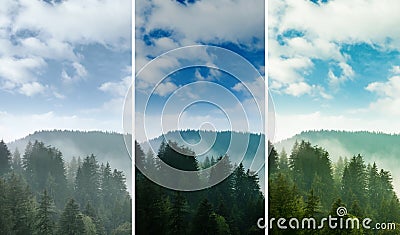 Photos before and after retouch, collage. Picturesque view of mountain forest in foggy morning Stock Photo