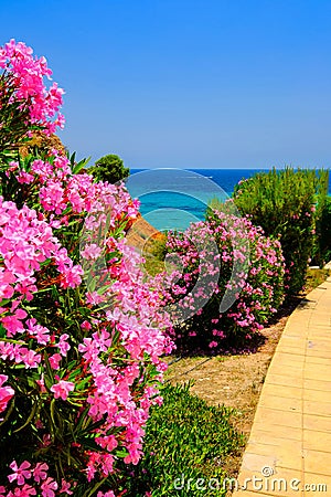 Photos of Spain July 2021, sea, beaches, summer landscape Stock Photo