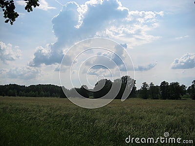 Photos from a summer field landscape with green grass and sky, prolonged curly ominous clouds Stock Photo