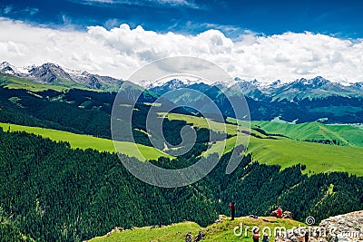 The forests, green grassland and tourist Stock Photo