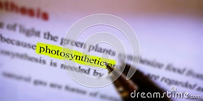 photosynthetic word highlighted on white paper sheet Stock Photo