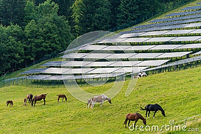 Photovoltaic solar park, alpine meadow, pasture and grazing horses with alpine mountains in the background Stock Photo