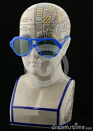 Phrenology Head with Child's sunglasses Stock Photo