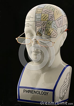 Phrenology Head with reading glasses Stock Photo