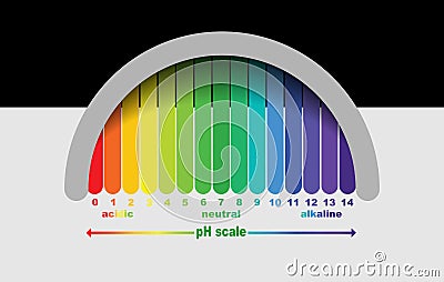 Scale of ph value for acid and alkaline solutions, Vector Illustration