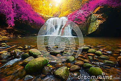 Phu Soi Dao Waterfall with yellow and pink leaves trees autumn, Stock Photo