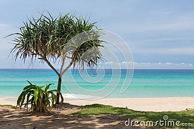 Phuket island Komala beach,Thailand Stock Photo