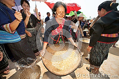 Phutai minority woman pounding and winnowing rice. Editorial Stock Photo