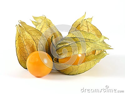 Physalis Stock Photo