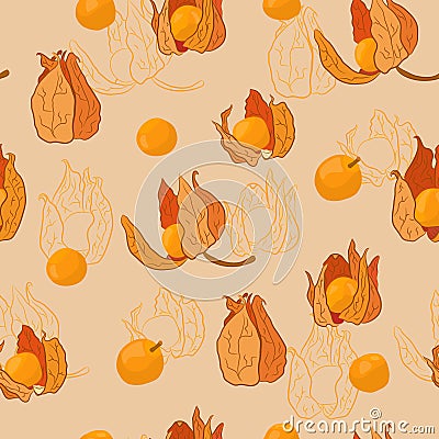 Physalis colored pattern3 Vector Illustration