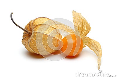 Physalis Group Stock Photo