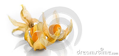 Physalis peruviana. Cape Gooseberries over white background. Ripe fresh Physalis closeup Stock Photo