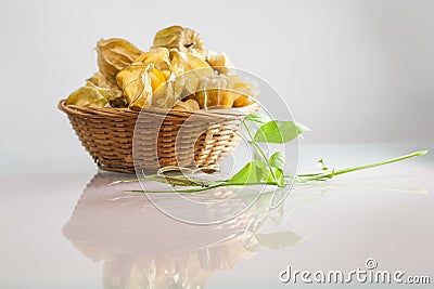 Physalis peruviana fruits in a basket and green plant Stock Photo