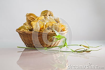 Physalis peruviana fruits in a basket and green plant Stock Photo