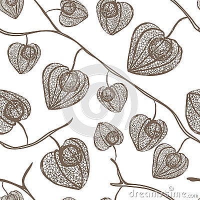 Physalis plant in braun orange for autumn design. Vector seamless pattern with outline physalis or cape gooseberry Vector Illustration