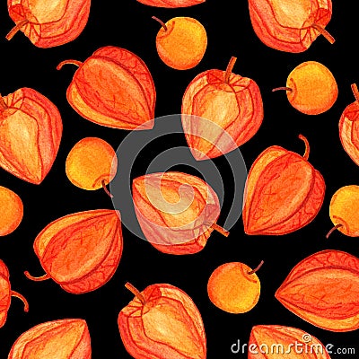 Physalis watercolor seamless pattern isolated on black background Cartoon Illustration