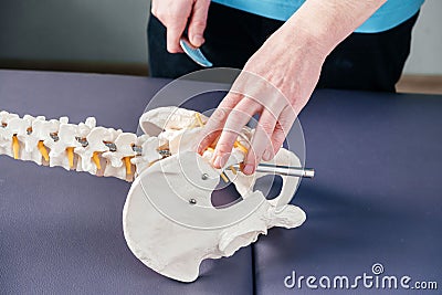 Physical therapist pointing at SI sacroiliac joint on Flexible Chiropractic Spine Model Stock Photo