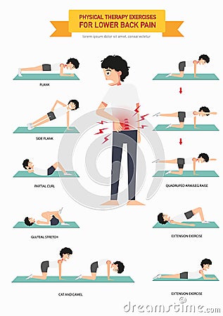 Physical therapy exercises for lower back pain infographic Vector Illustration