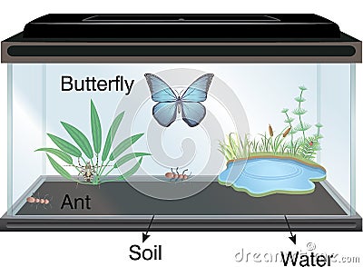 Physics - Aquarium and butterfly Vector Illustration