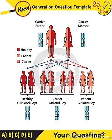 Physics, Genetic diseases, carrier individual, healthy individual, sick individual Stock Photo