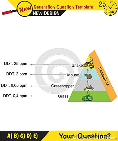 Physics, Vector Illustration of food chain - energy pyramid Stock Photo