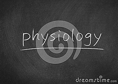 Physiology Stock Photo