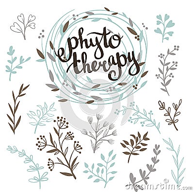 Phytotherapy background. Stylish lettering in the wreath and set of herbs. Vector Illustration