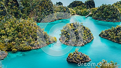 Pianemo Islands, Blue Lagoon with Green karst limestone Rocks, Raja Ampat, West Papua. Indonesia Stock Photo