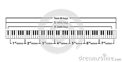 Piano Chords or piano key notes chart on white background vector Vector Illustration