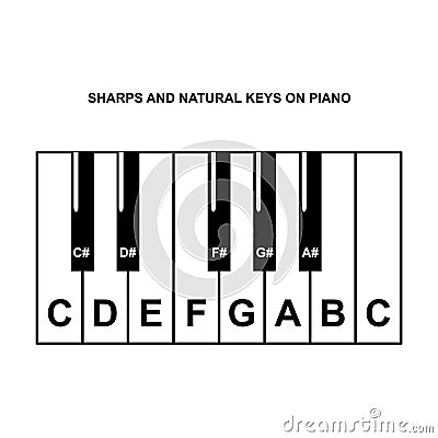 Piano Chords or piano key notes chart on white background vector Vector Illustration