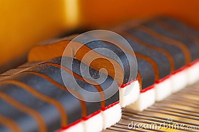 Piano dampers closeup piano Stock Photo