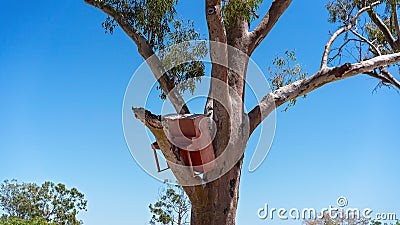 Piano Lodged In Tree Since 1916 Flood Stock Photo