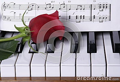 Piano with Red Rose Stock Photo