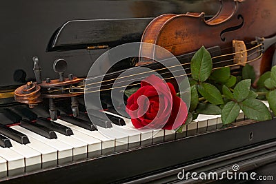 Piano red rose violin Stock Photo