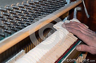 Piano repair - work in progress by a craftsman Stock Photo