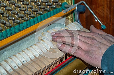 Piano repair - tuning, leveling the hammers and restoration work in progress by a craftsman Stock Photo