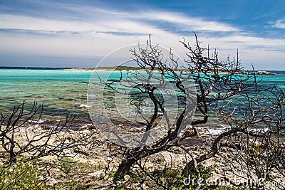 Piantarella beach near Bonifacio, Corse, France Stock Photo