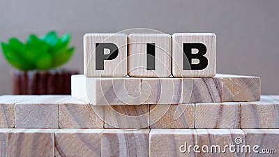 PIB - acronym on wooden cubes on the background of wooden blocks and cactus Stock Photo