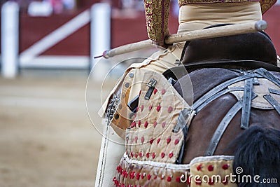 Picador bullfighter, lancer whose job it is to weaken bull`s nec Stock Photo