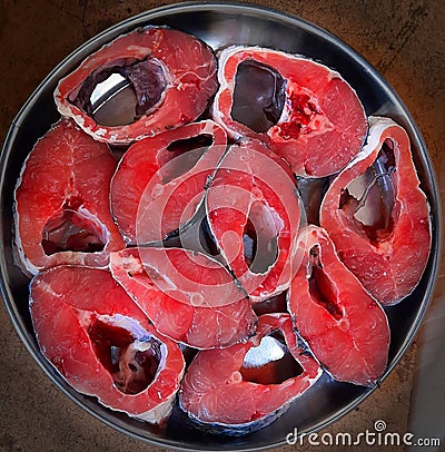 Pices of red fish and greenery on a studio background Stock Photo