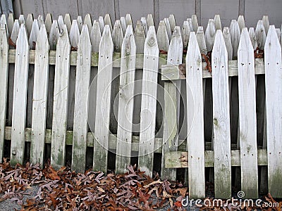 Picket Fence Sections Stock Photo