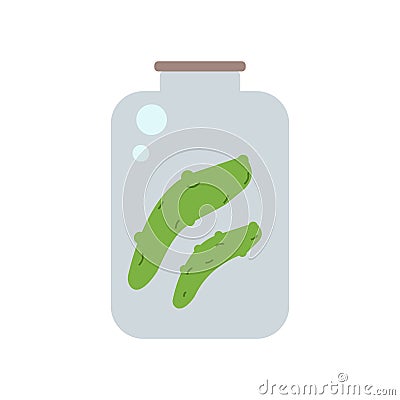 Pickle icon vector isolated on white background, Pickle sign Vector Illustration