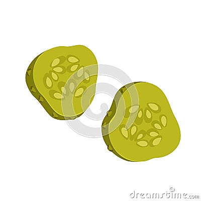 Pickled cucumber slices Vector Illustration